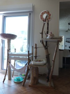 Chatterie Coon Toujours, Arbre à Chats en bois flotté, bricolage fait maison