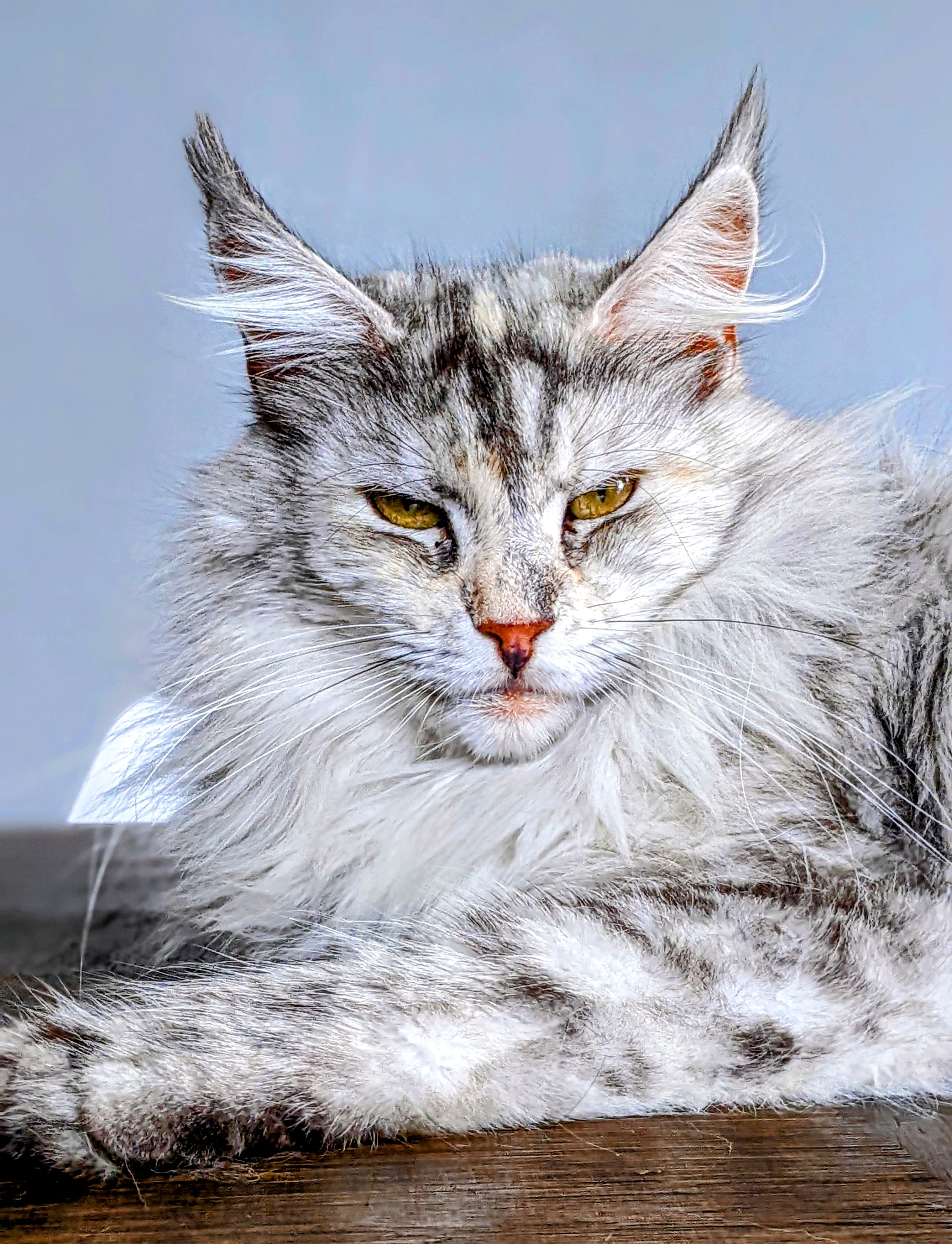 PXL_20221015_121616026.PORTRAIT~3